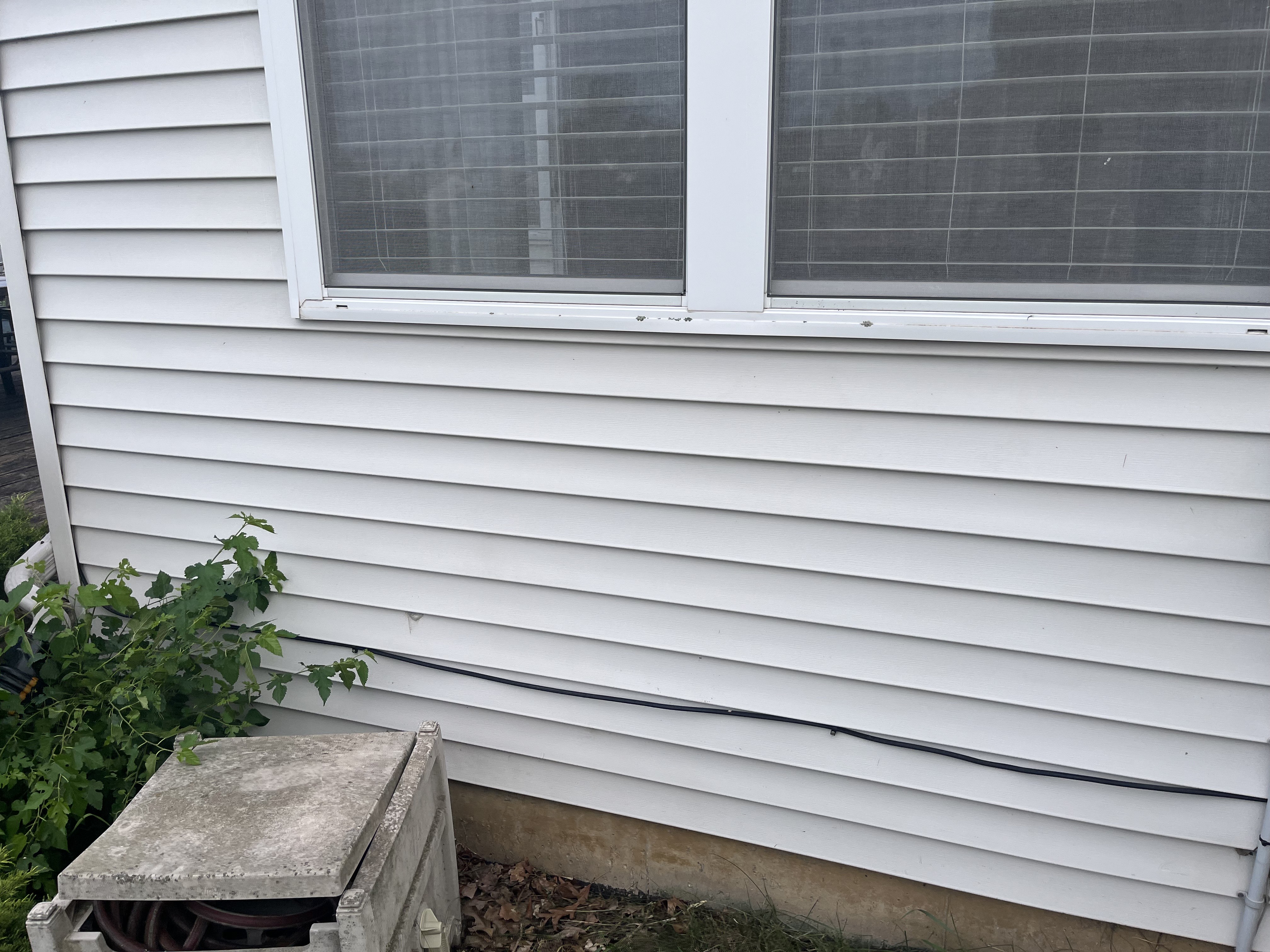 Siding after cleaning